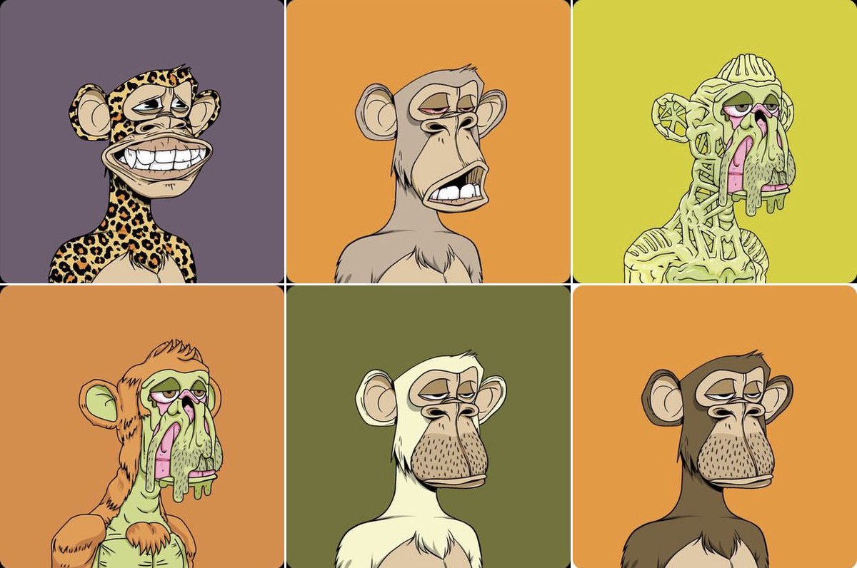theterpyone's tweet photo. apes, punks, mutants, kodas, dogs, othersiders drop your nft below for a follow back! 

following everyone back until twitter stops me! #apefollowape #bayc #yugalife https://t.co/k6VeNUPdwo