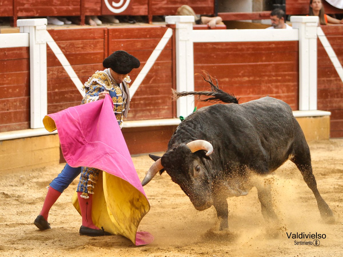 Plaza de Toros de Soria tweet media