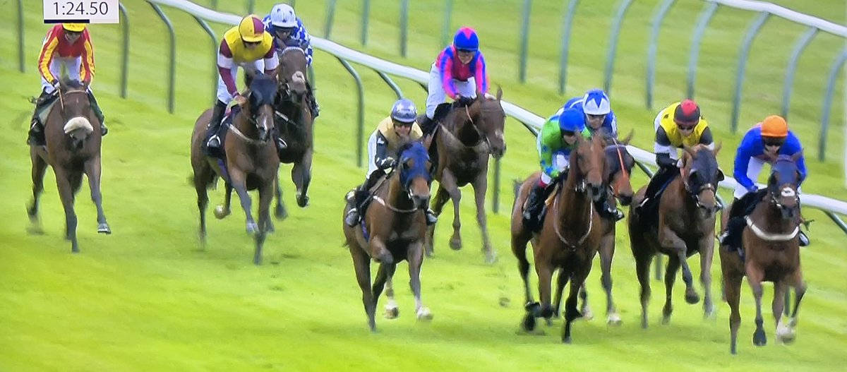 amajox's tweet photo. Congrats #champ @amajox @SerenaBrothert2 storms home #wildthunder @NottsRacecourse @MickEasterby @dmeasterby #topjock ๐๐๐๐Well done Serena!๐ฅ๐ https://t.co/lGaRu6AAEd