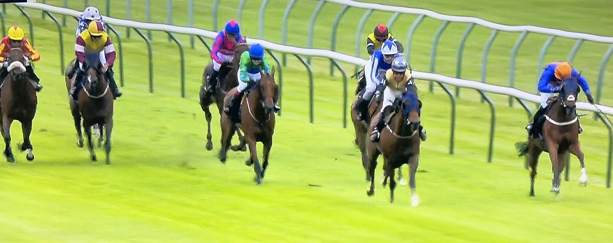 amajox's tweet photo. Congrats #champ @amajox @SerenaBrothert2 storms home #wildthunder @NottsRacecourse @MickEasterby @dmeasterby #topjock ๐๐๐๐Well done Serena!๐ฅ๐ https://t.co/lGaRu6AAEd