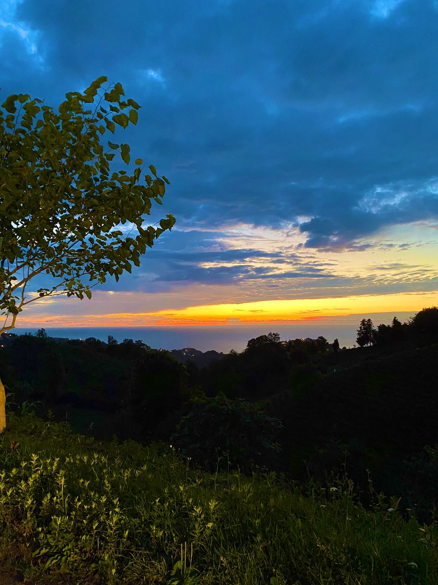 “Ey sevgilim, bilirsin benim ne çektiğimi
Garip başımın derdi bir yürek taşıyorum. 
Anlarsın niçin uzak yerlere baktığımı
İçinde yaşanmaz bir dünyada yaşıyorum. 
Görünce gülme sakın çırpınıp aktıgımı
Ilık ve aydınlık bir denize koşuyorum..” [Sabahattin Ali]