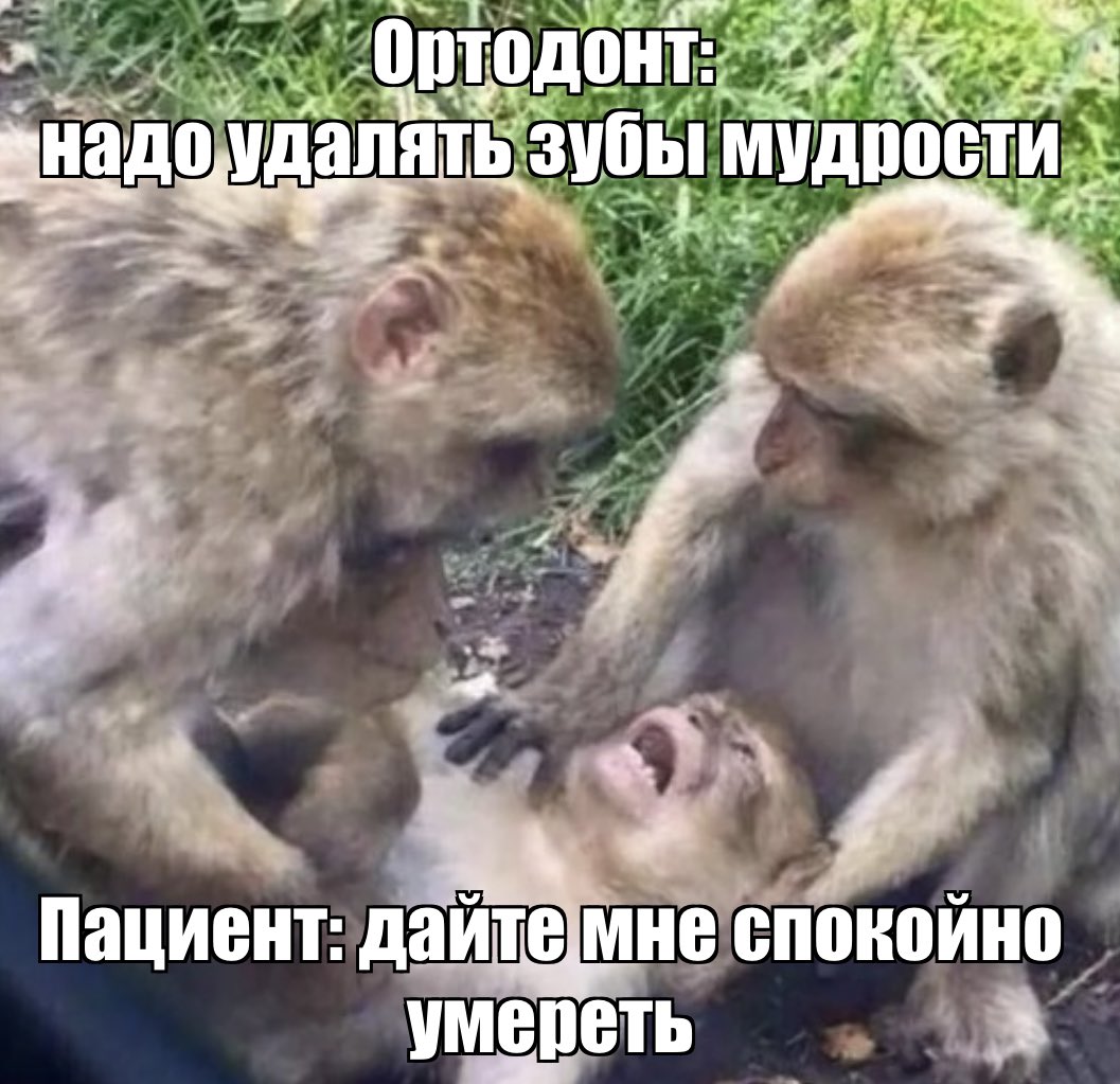 TsarkovaTatiana's tweet photo. Эври дей ин май лайф https://t.co/qGPCR0Qi3w