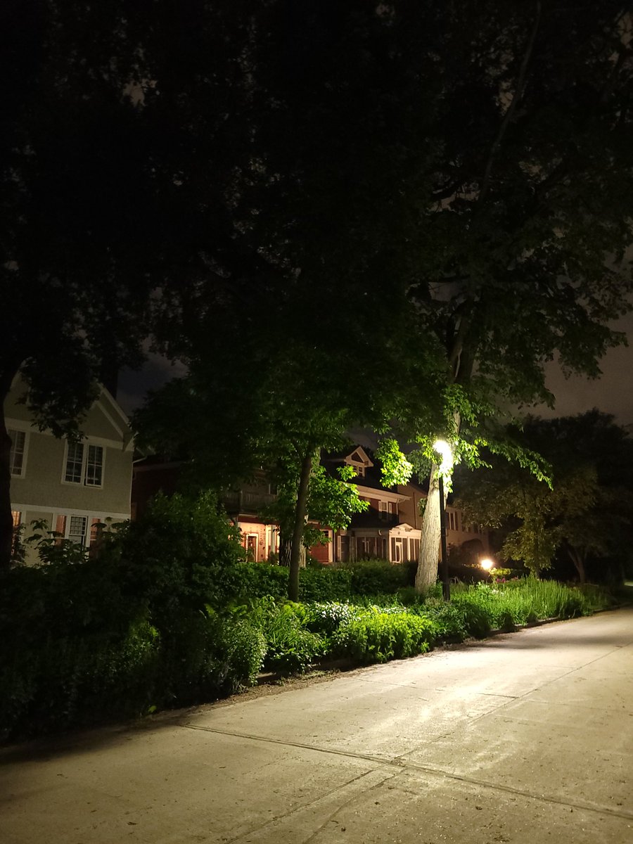 Went on a 70km bike ride the other night and my biggest takeaway was that lawns should be abolished