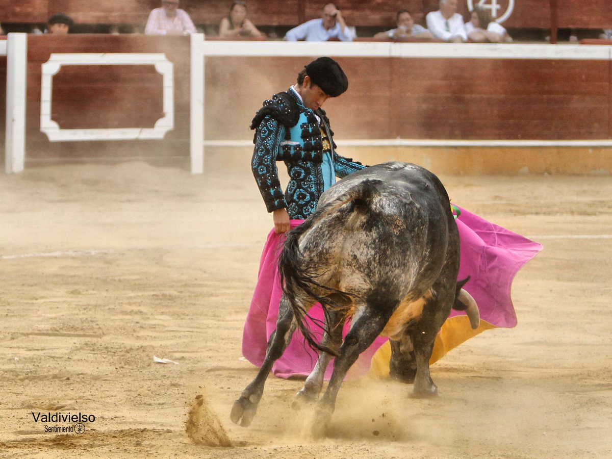 Plaza de Toros de Soria tweet media