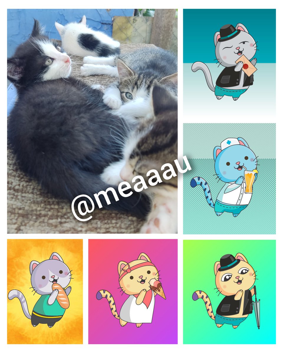 SergioLyka's tweet photo. @garyvee Some people love kittens more than dogs or other people.  Maybe because little cats do not think about problems, the global crisis and really need your support.  And the heart melts when you see their carelessness and trust in you. https://t.co/d4sHE6VSDp