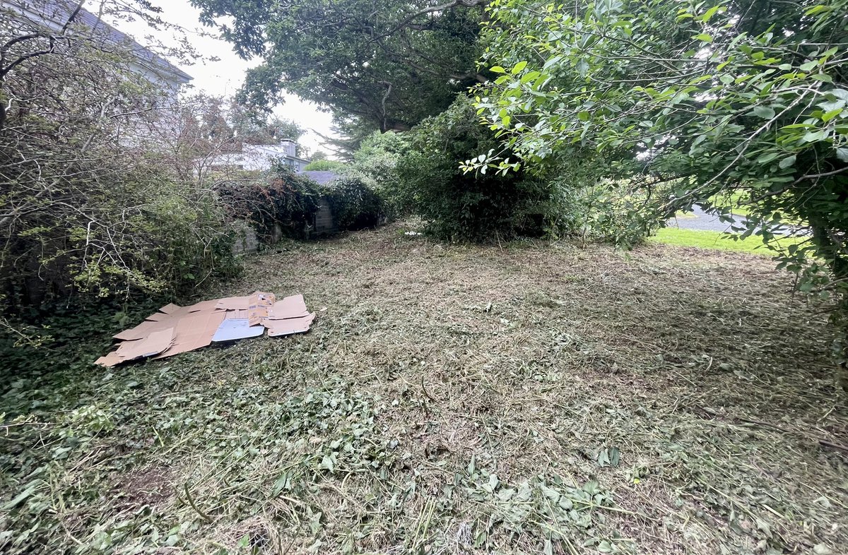 ConnaughtOld's tweet photo. Could someone please explain why my residents are covering what is going to be a composting area with that hard paper? @GWandShows @GardenGuideIRL @COMPOSTmag #composting https://t.co/aDQ8C3IMOK