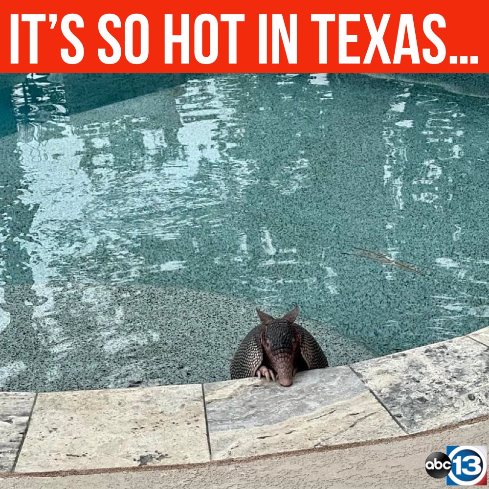 Travis Herzog ⚡️ tweet media