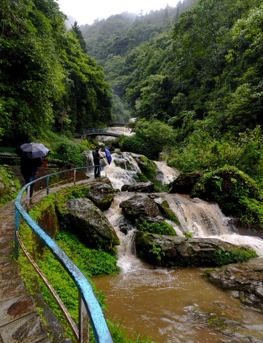 Shhaananigans's tweet photo. Summing up my Darjeeling Trip with my favourite pictures! https://t.co/UVftWGRP3X