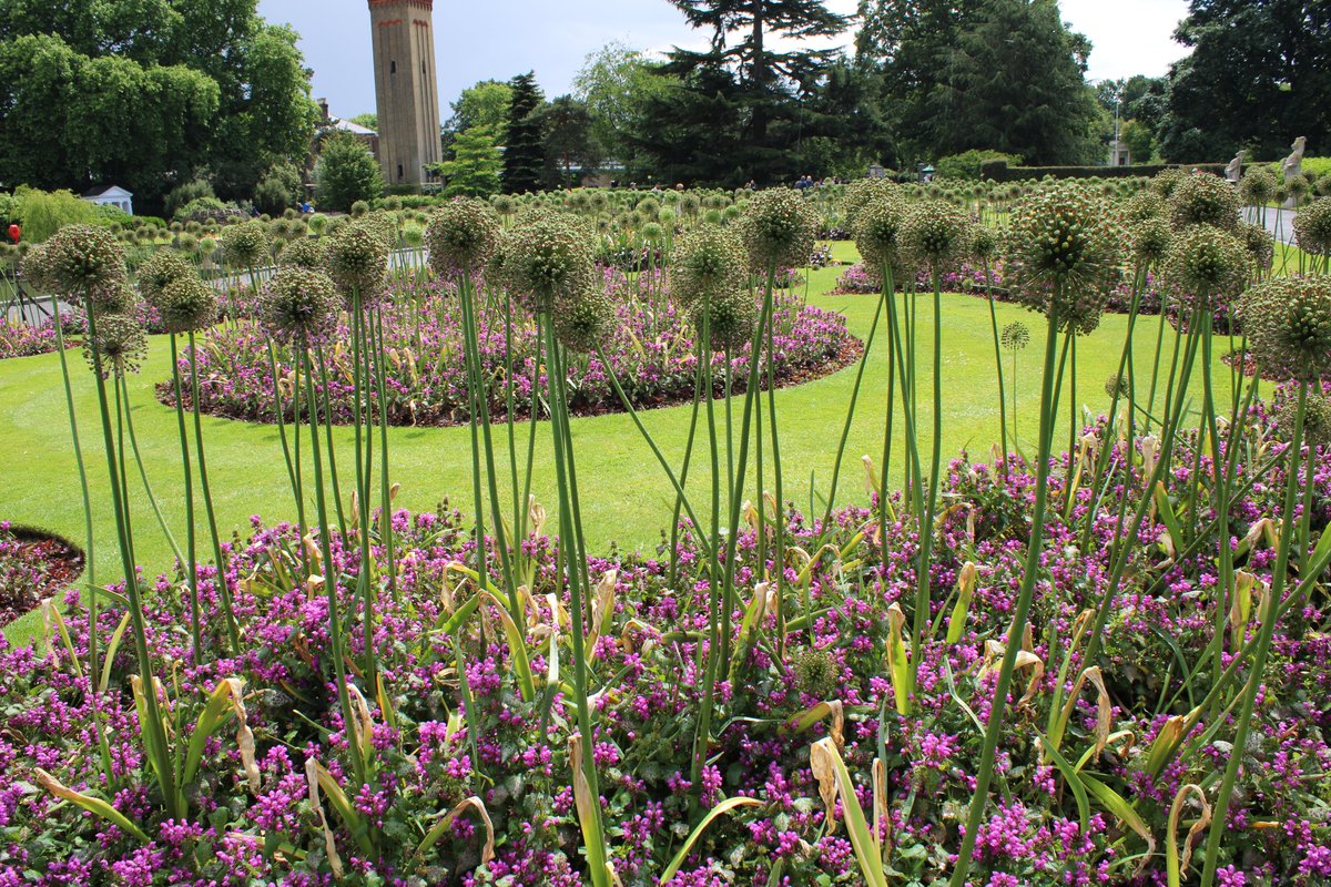 North West In Bloom tweet media