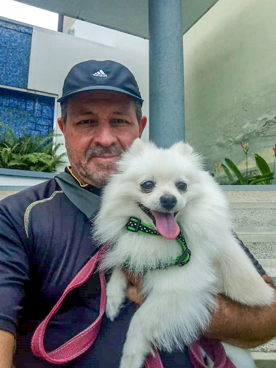 vodkcan's tweet photo. Bienvenida Dolce de la raza #Pomerania a su Adiestramiento Básico

#Pomeranian #PomeranianPuppy #PomeranianDogs #AdiestramientoCanino  #EducaciónCanina  #ObedienciaCanina #EscuelaCanina #PerroEducado  #MascotaEducada #AdiestramientoDomicilio https://t.co/wo0ADmDlWy