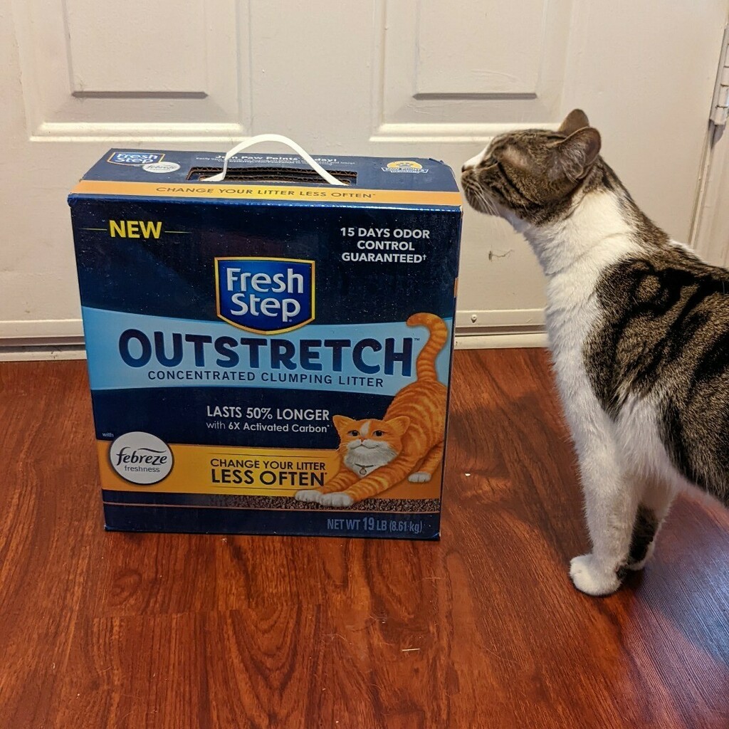 Kitty Approved. Liking this new litter so far! 

#complimentary #OutstretchDoLess <a href="/Influenster/">Influenster</a> @freshstep