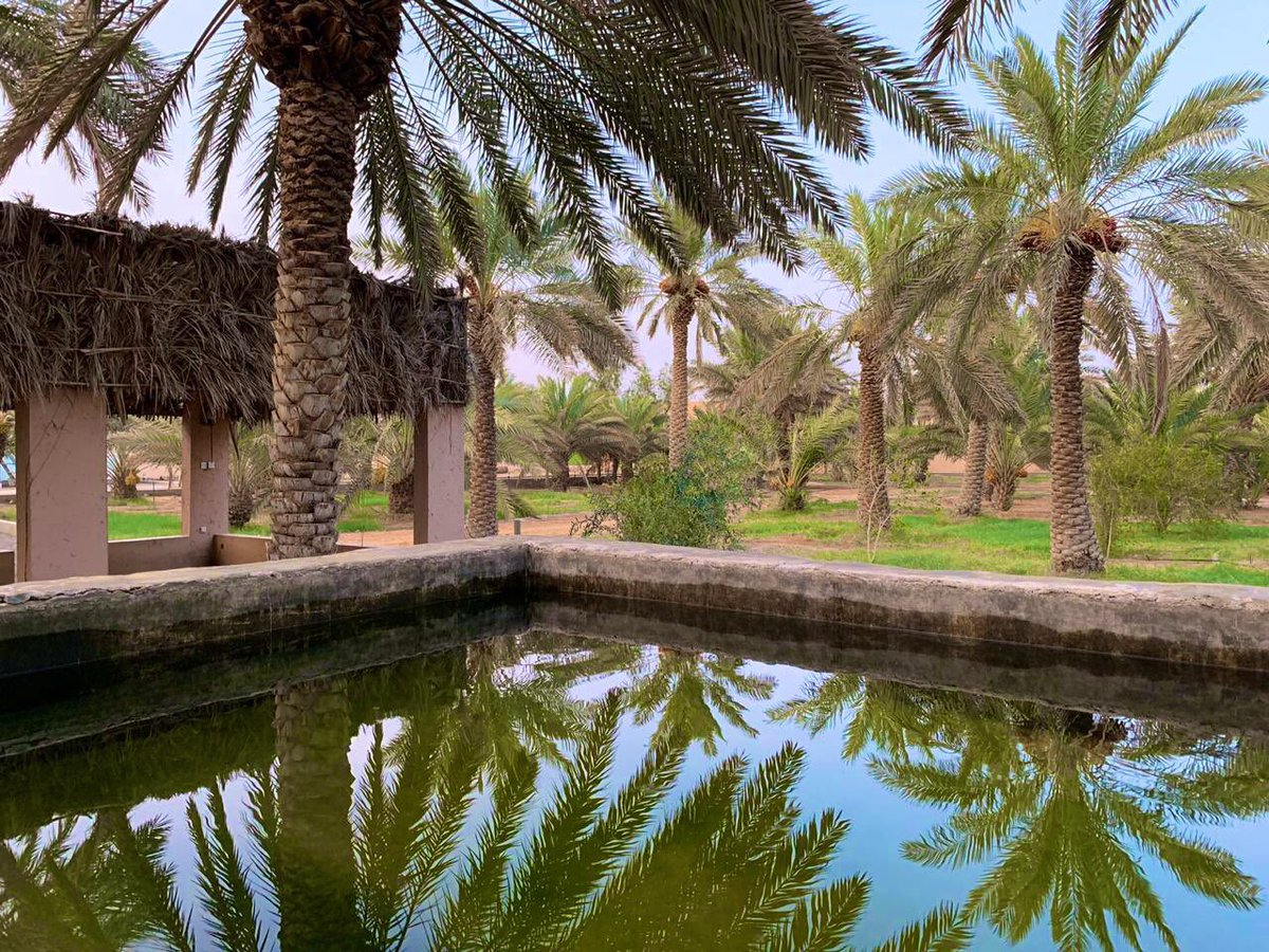greatfarm15's tweet photo. #كليه_الملك_فهد_الامنيه https://t.co/S965ZOrc1i