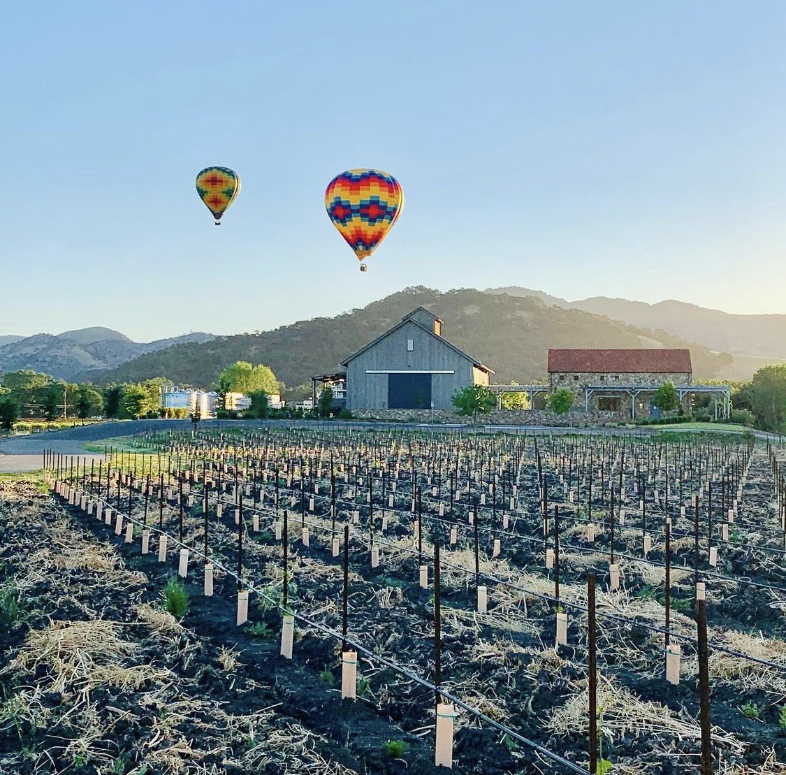 To kick off the summer season, Mira Winery is excited to announce 𝘛𝘩𝘦 𝘮𝘺𝘔𝘐𝘙𝘈𝘤𝘭𝘦 𝘕𝘢𝘱𝘢 𝘞𝘪𝘯𝘦 𝘊𝘰𝘶𝘯𝘵𝘳𝘺 𝘎𝘪𝘷𝘦𝘢𝘸𝘢𝘺! 🍷⁣
⁣
Experience the Miracle of Napa Valley like a VIP. Enter for your chance to win bit.ly/3AmY0e3 #sweepstakes #napavalley