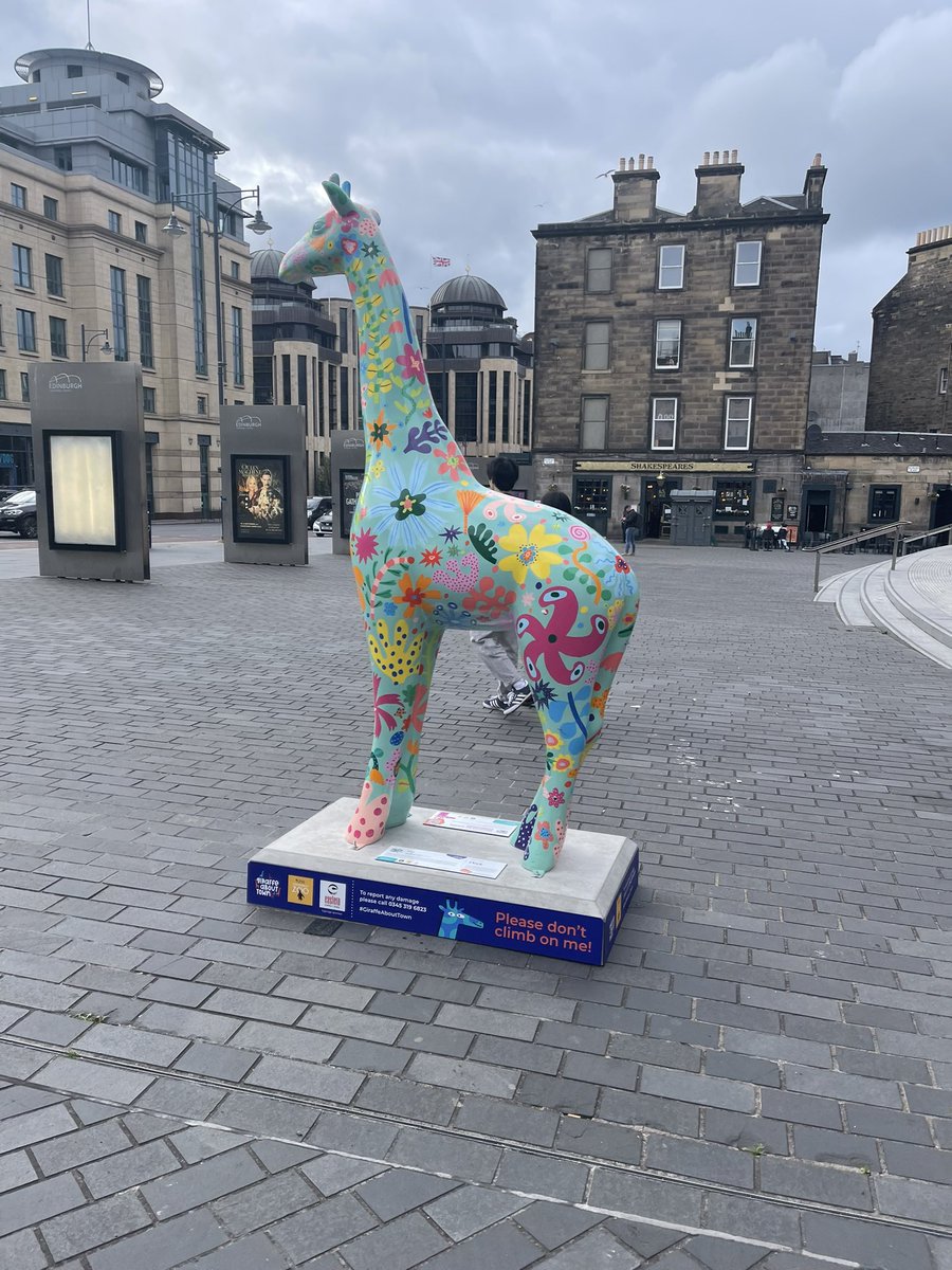 Proper giraffe spotting now! #GiraffeAboutTown #Edinburgh