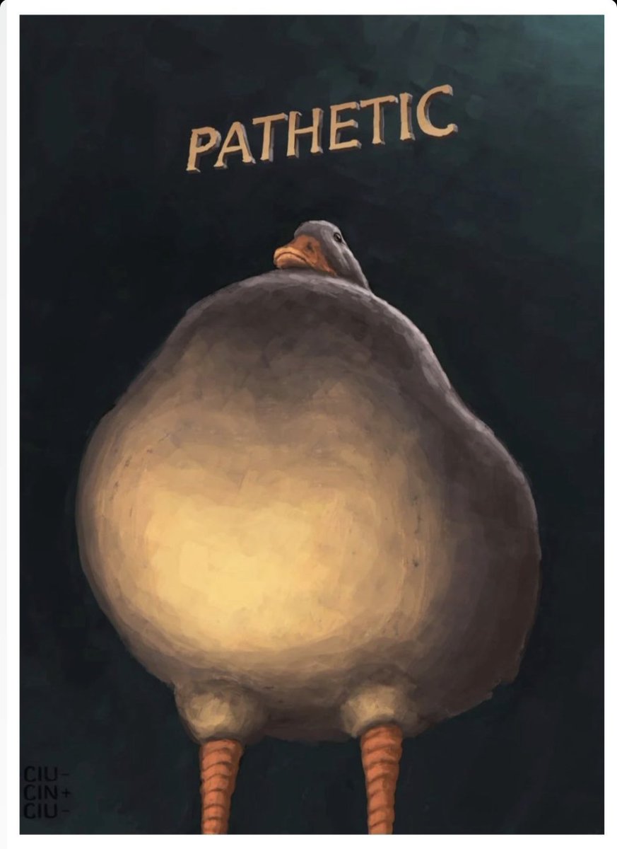 XethaPCs🖥️ tweet media