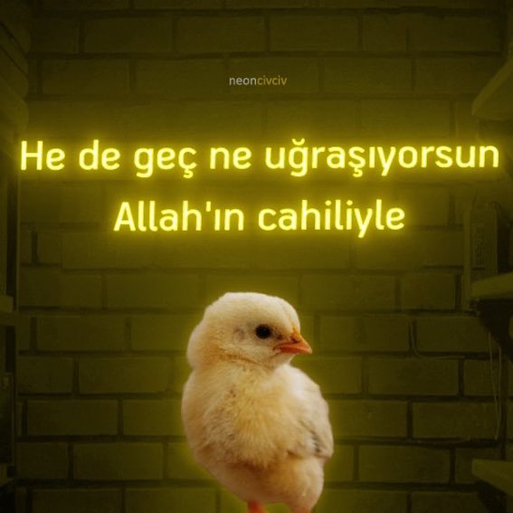 Yengeçlere Tavsiye;