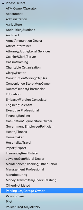The "Occupations" lists banks use are wack. 
ATM Owner/Operator, Pawn Shop Owner, Jeweler/Gem/Metal Dealer, Parking Lot Garage Owner. Do these really all need their own line?