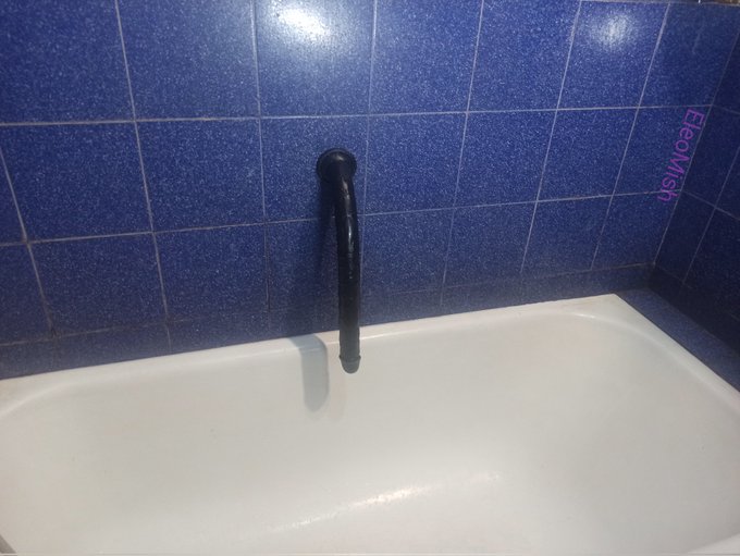 You go into your bathroom and find this. What are your next steps? https://t.co/ND7I9NNMb6<a href="/tag/mvsales"class="tags"><span>#mvsales</span></a>