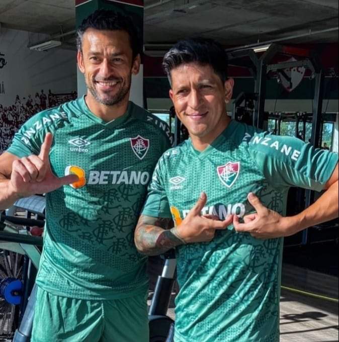 rafa marques ᶠᶠᶜ 🇭🇺 (20/77) tweet media