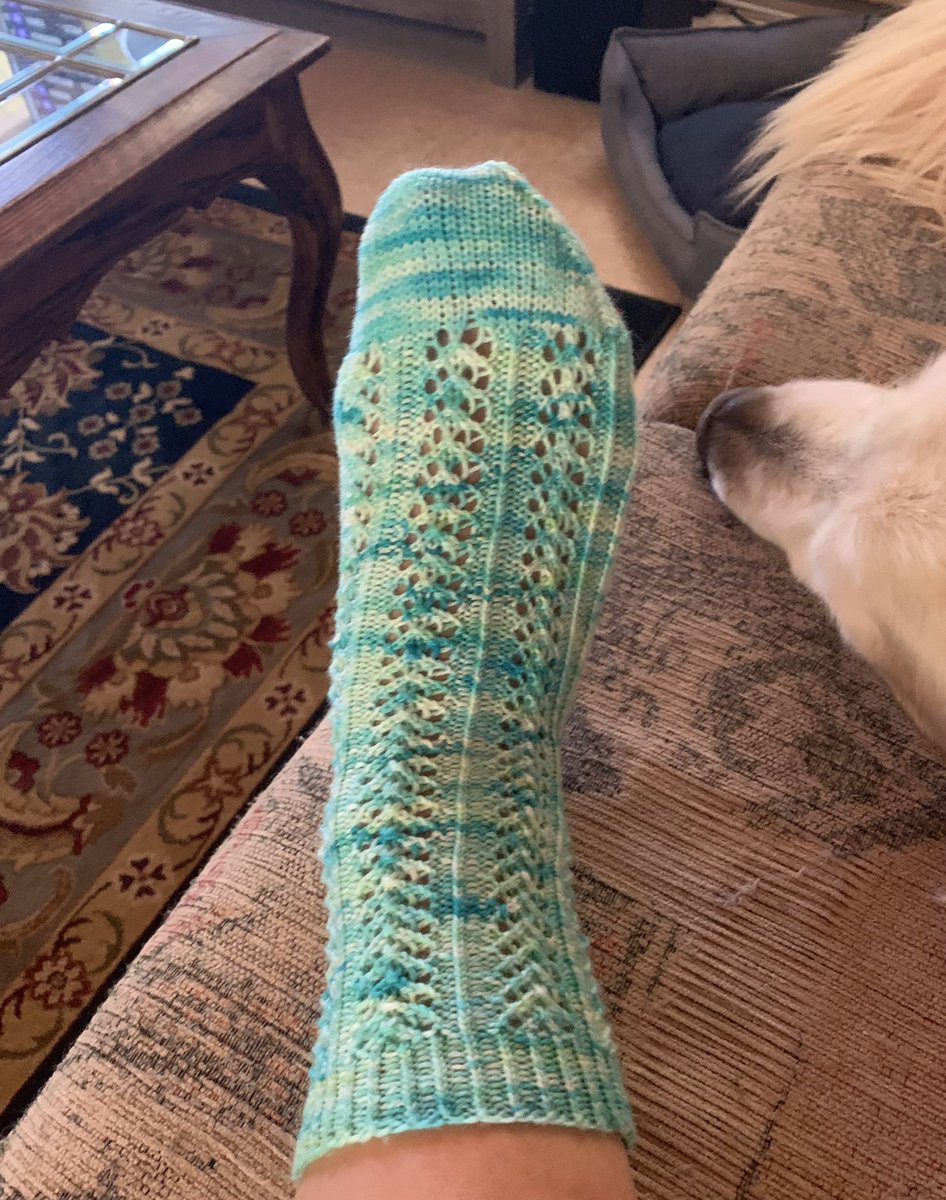 momengineerarmy's tweet image. The Bay Area weather has been cooling off, just in time for me to finish #cookiea #hedera sock #1 &amp;amp; switch to bigger projects. Yarn is @hawaribazaar crescent fingering in #BTS Lights.