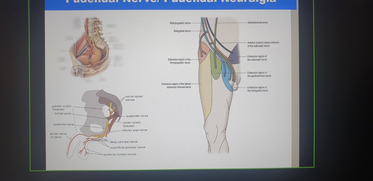 KonstantinosNikolaou Msc, PGDip, MCSP, HCPC tweet media