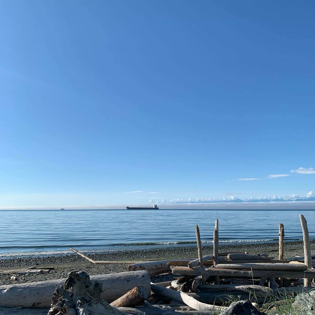 muddylaces's tweet image. Beauty Canada Day ride yesterday. Let’s see what today brings. #cycling #yyj #bikesarefun instagr.am/p/CfhbbqaP6Rr/