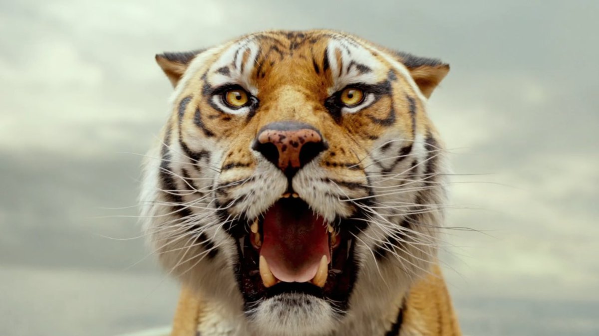 themikl's tweet photo. Cher #FortBoyard voici l’image du Tigre en CGI du film L’Odyssée de Pi sortie en … 2012. Je dis ca je dis rien. https://t.co/n0yN7QEjnV