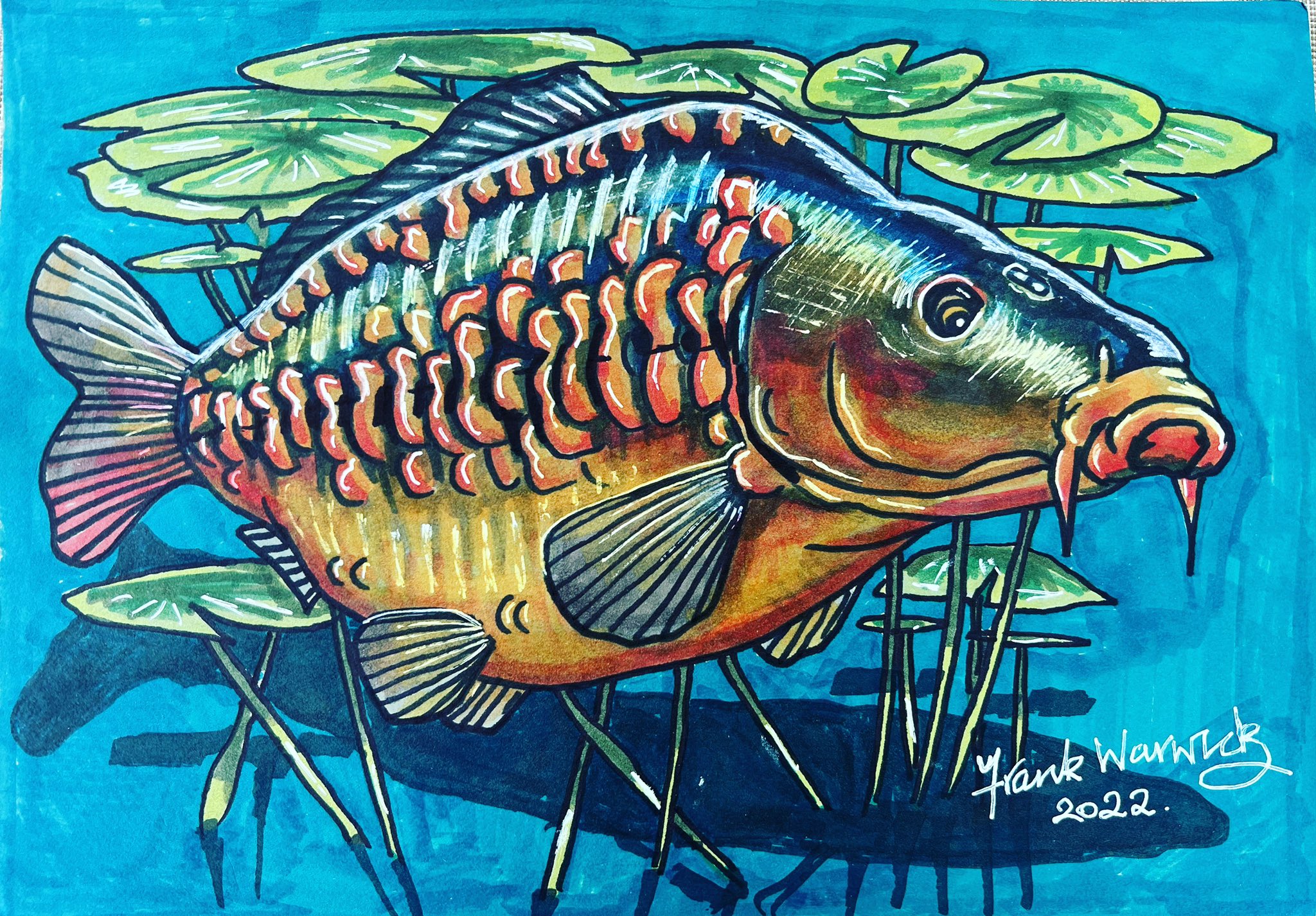 Frank Warwick on X: I absolutely love drawing carp here's one I did today  sat in the garden with felt tip pens  / X