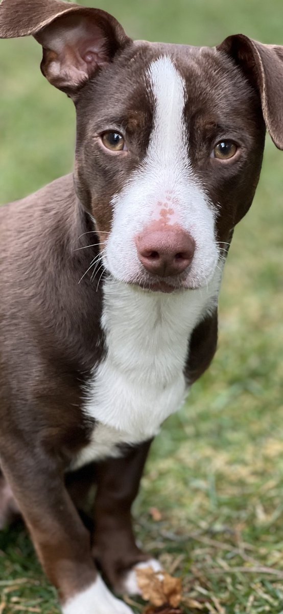 John F. Kelley tweet media