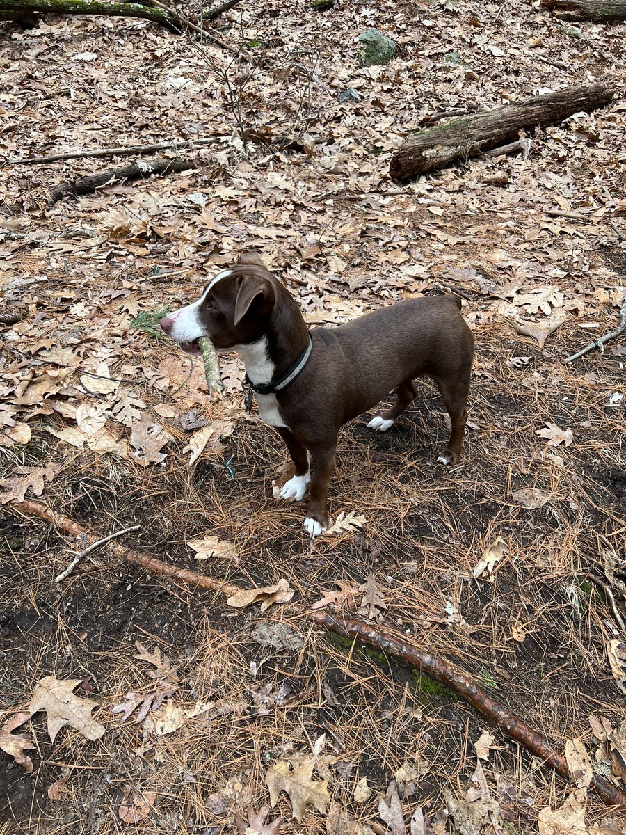 John F. Kelley tweet media