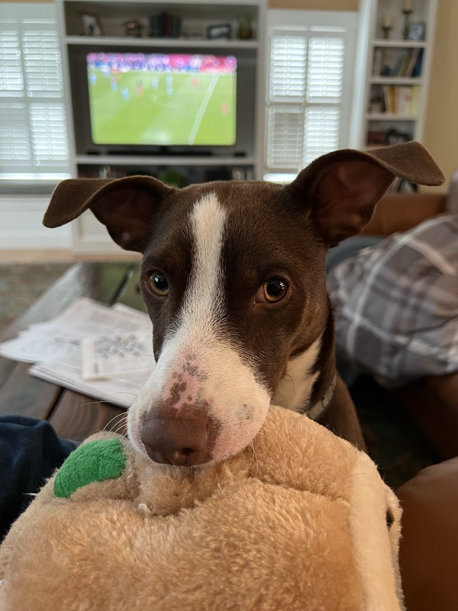 John F. Kelley tweet media