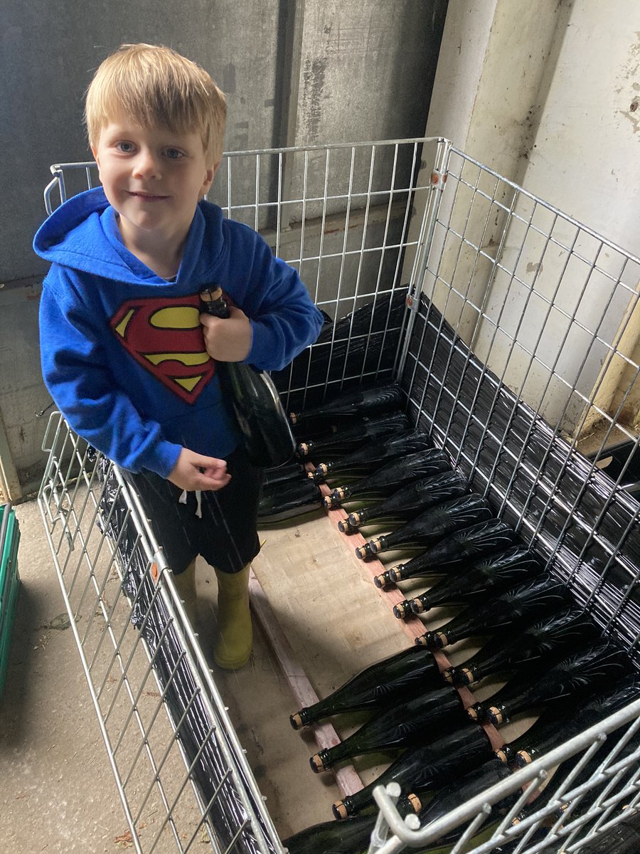 It was too wet for the vineyard this morning so I ended up helping our cellar master re-stack a few stillages #nextgeneration #familybusiness
