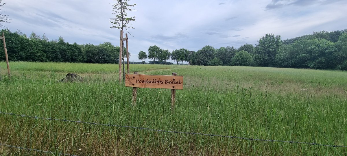 Frank Luttels tweet media