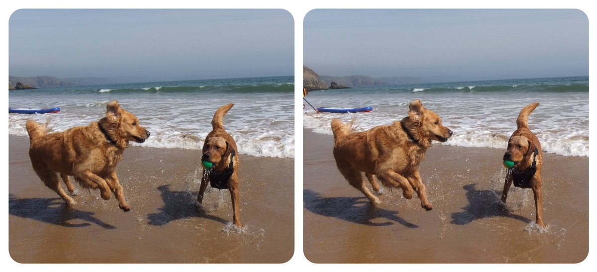 StereoSimian's tweet image. I have ALWAYS loved 3D (films, games, comics, posters) but I’m new to #stereoscopy re taking my own photos and collecting #stereoviews. 

I recommend @DrBrianMay’s OWL viewer from @londonstereo for the attached images, but the 4th pic describes a useful freeviewing method.