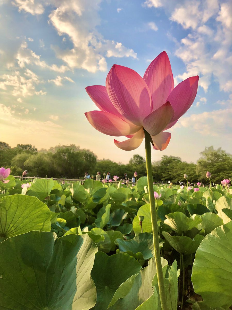 Sasa Create Sasacreate Twitter