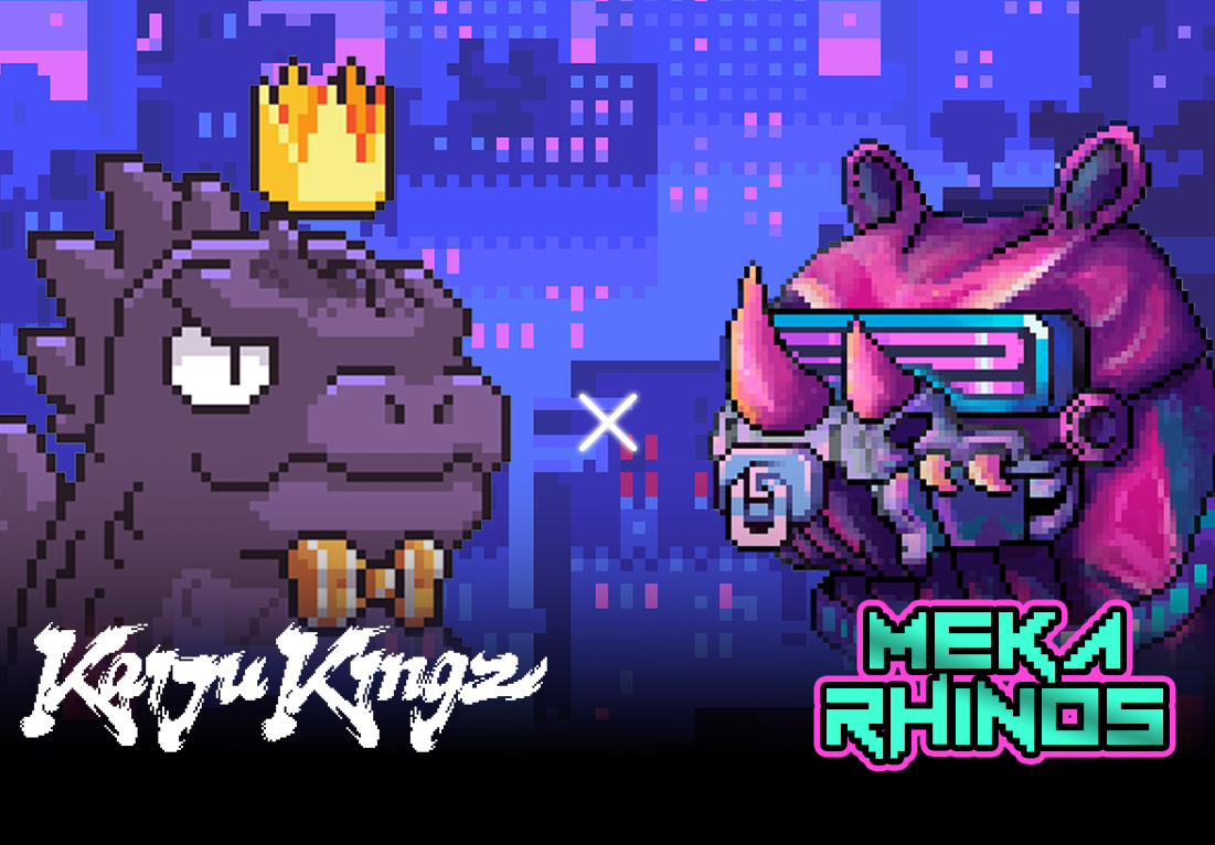 Meka Rhinos tweet media