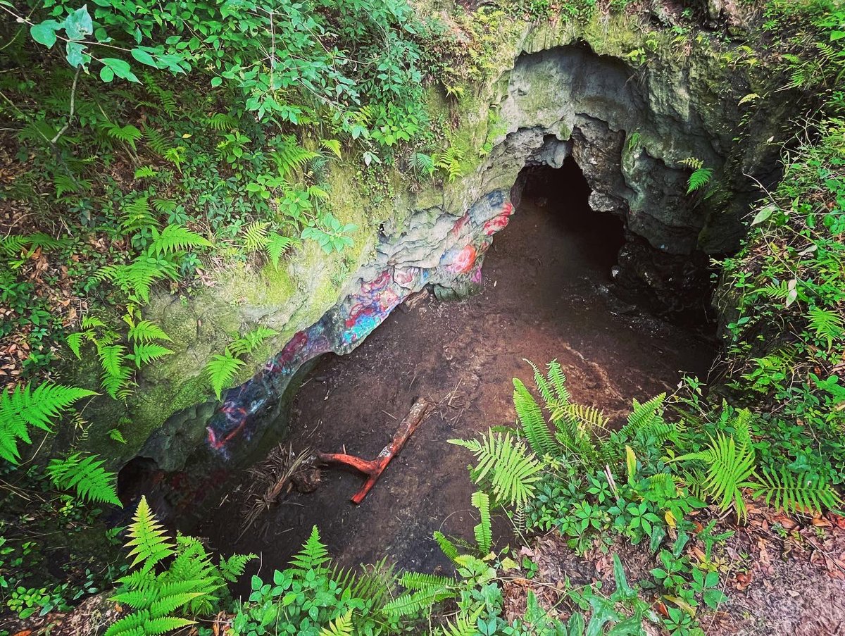 MikeCamunas's tweet photo. Visit Dames Cave in #lecanto. Good ๐ฅพ #noregrets https://t.co/1HFAa9NAFc