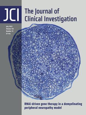 Keith N. Fargo, PhD (@keithnfargo) on Twitter photo Congratulations to Marina Stavrou, Kleopas Kleopa, Scott Harper, and the other collaborators for making the cover of <a href="/jclinicalinvest/">Journal of Clinical Investigation</a>! We are very proud to have been able to fund this high impact research.
jci.org/132/13 Congratulations to Marina Stavrou, Kleopas Kleopa, Scott Harper, and the other collaborators for making the cover of <a href="/jclinicalinvest/">Journal of Clinical Investigation</a>! We are very proud to have been able to fund this high impact research.
jci.org/132/13