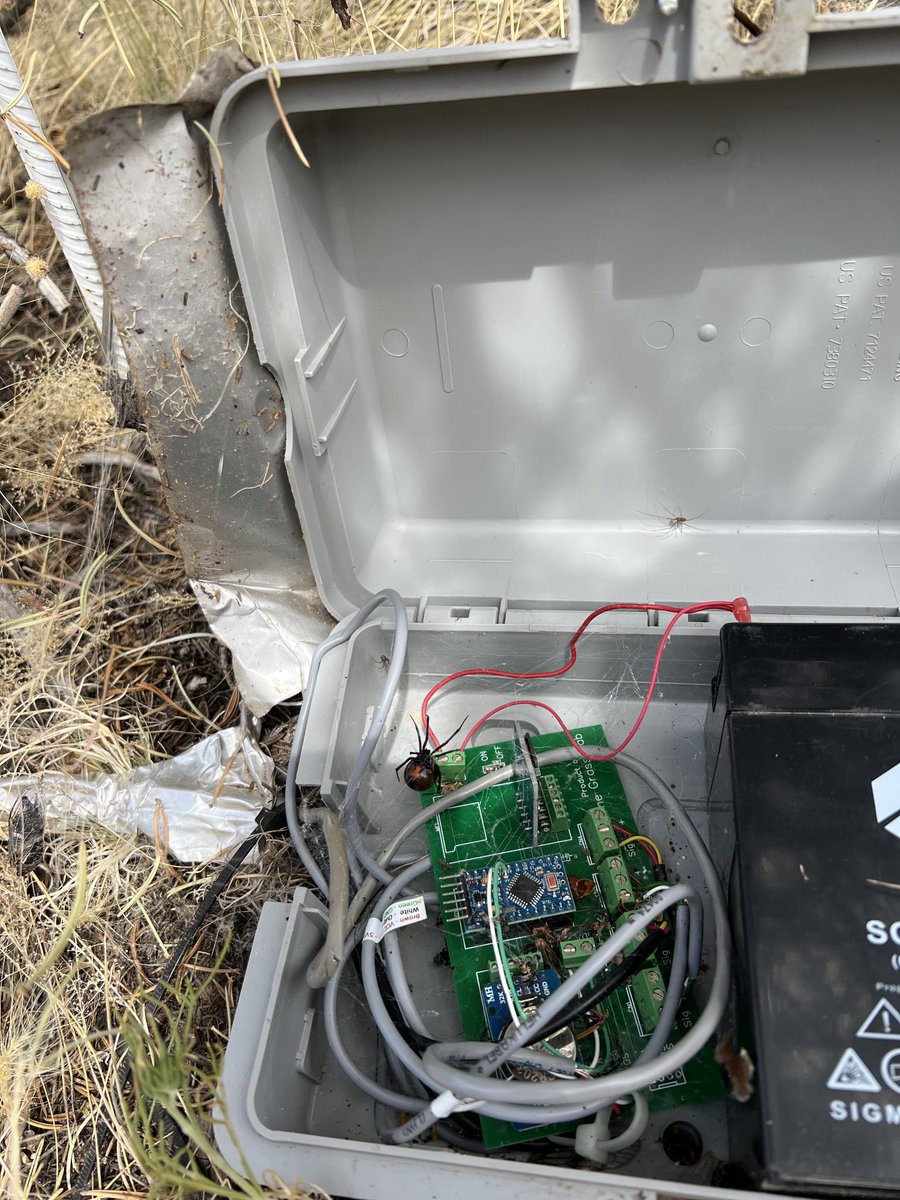 A couple examples of when inadvertent habitat creation with #microclimate sensors means being more careful where your hands go