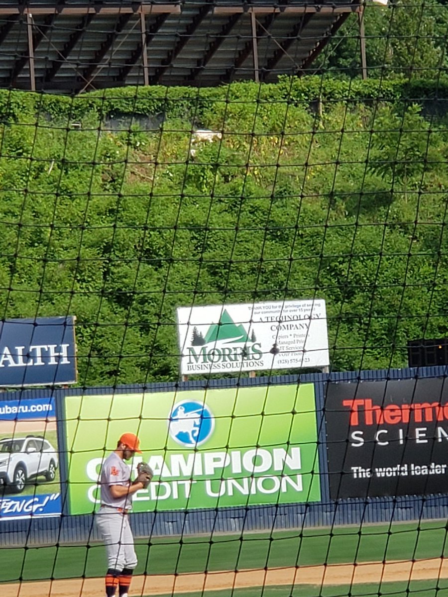 paomso's tweet photo. Goat 🐐 alert here at McCormick field @GoTourists https://t.co/vD4hWnXw4x