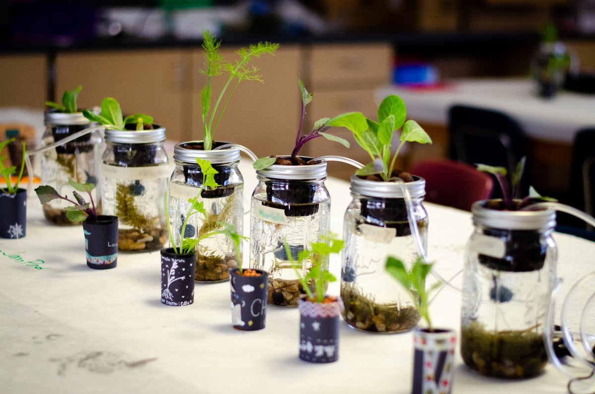 biojamcamp's tweet photo. In Day 8 of #BioJamCamp, teens learned about Mesoamerican chinampas (a type of #aquaponics) and #hydroponics. Led by @l3fty112 and Melissa Ortiz, teens made their own tabletop versions to share and teach! Curriculum  developed by @Xinampa_Bio. 🌱🌊🐌 https://t.co/vt3CwUR0mw