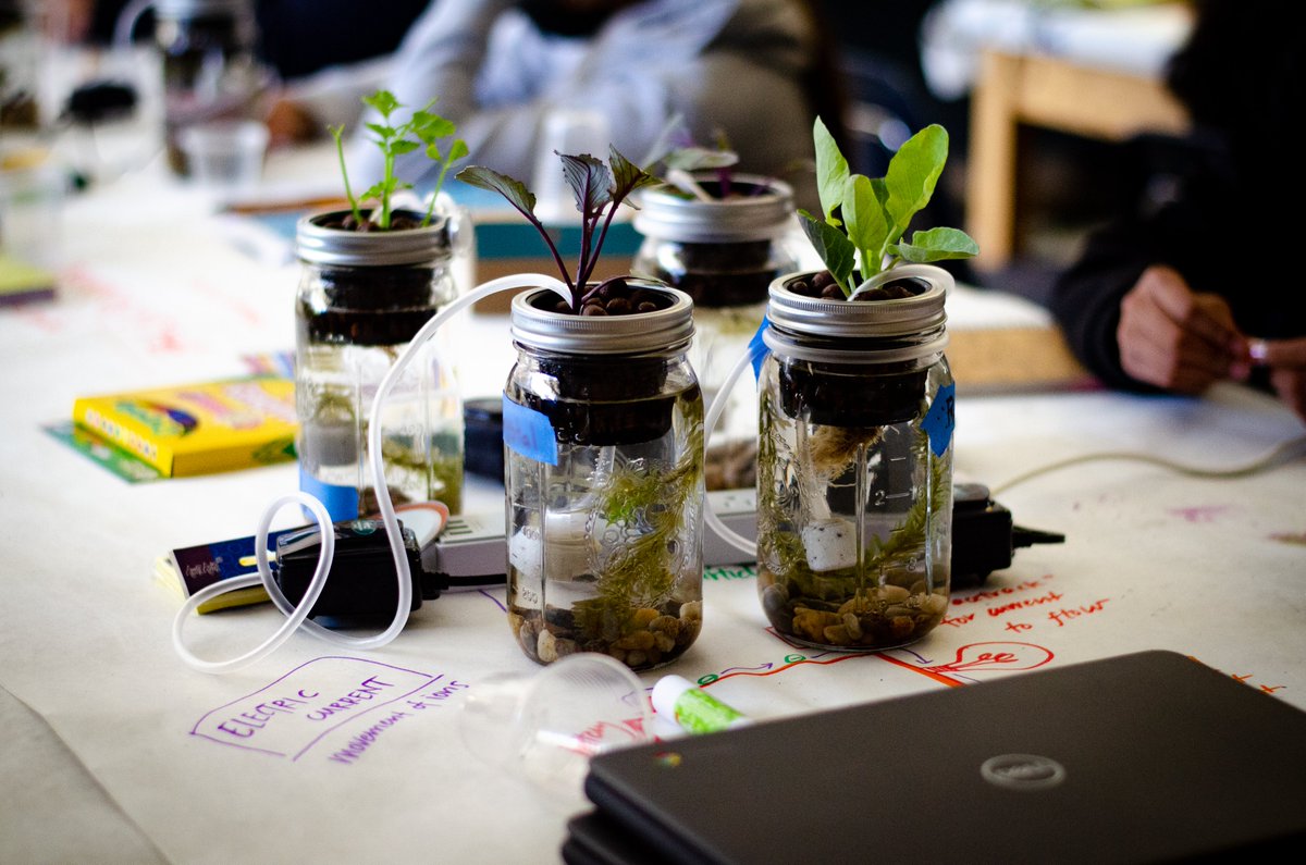 biojamcamp's tweet photo. In Day 8 of #BioJamCamp, teens learned about Mesoamerican chinampas (a type of #aquaponics) and #hydroponics. Led by @l3fty112 and Melissa Ortiz, teens made their own tabletop versions to share and teach! Curriculum  developed by @Xinampa_Bio. 🌱🌊🐌 https://t.co/vt3CwUR0mw
