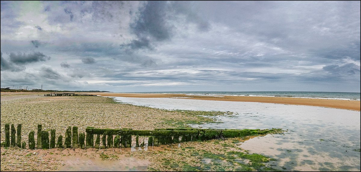 Kevin Drum on Twitter "Lunchtime Photo