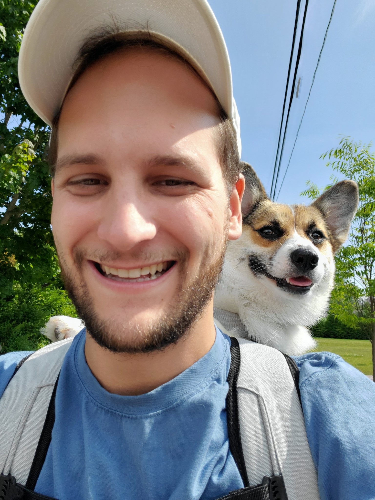 FlygonHG on Twitter: "I'm legally required to share a picture every time Poppy and I use her Corgi Backpack https://t.co/Kz184xX3tw" / Twitter