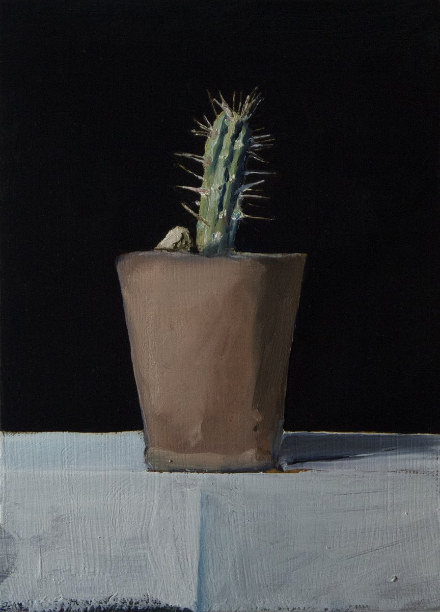 'Angry Cactus Painting’ (2022), Oil on panel, 175 x 125 mm @toridayart #contemporaryart #affordableart #art #artist #figurativeart #realism #stilllife #oilpainting #stilllifepainting