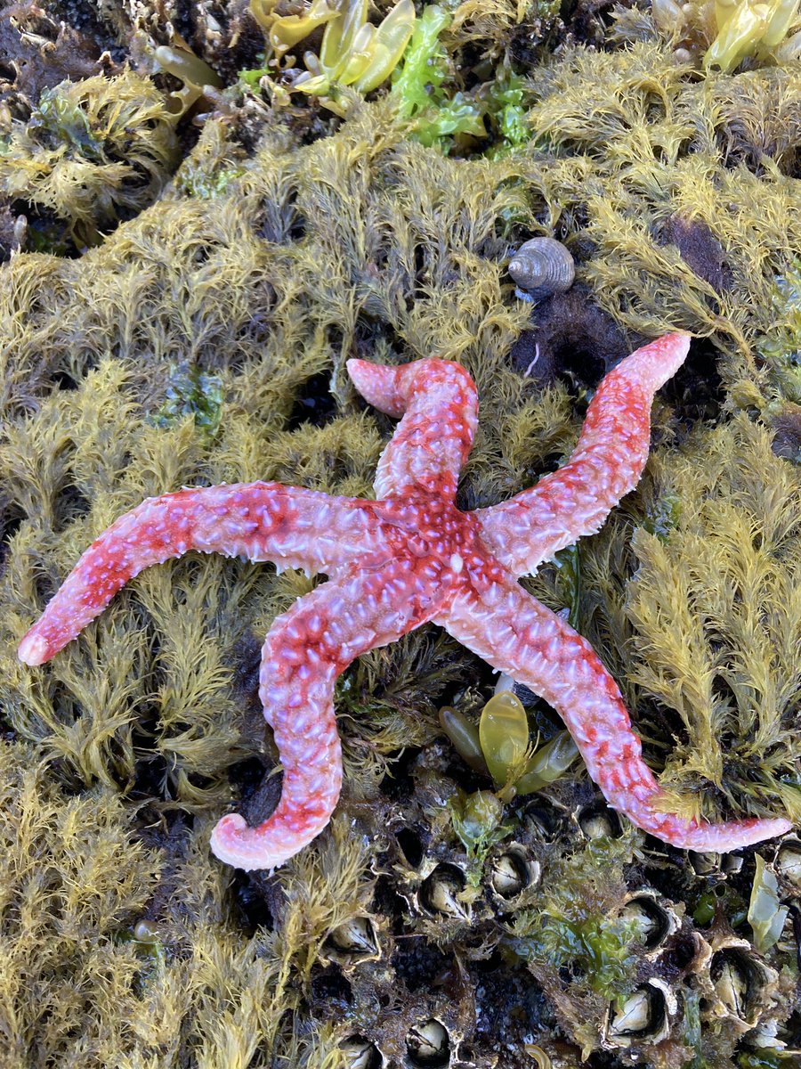 Frankie Gerraty tweet media