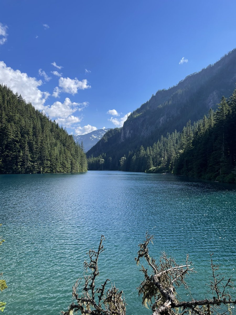 James Taylor tweet media