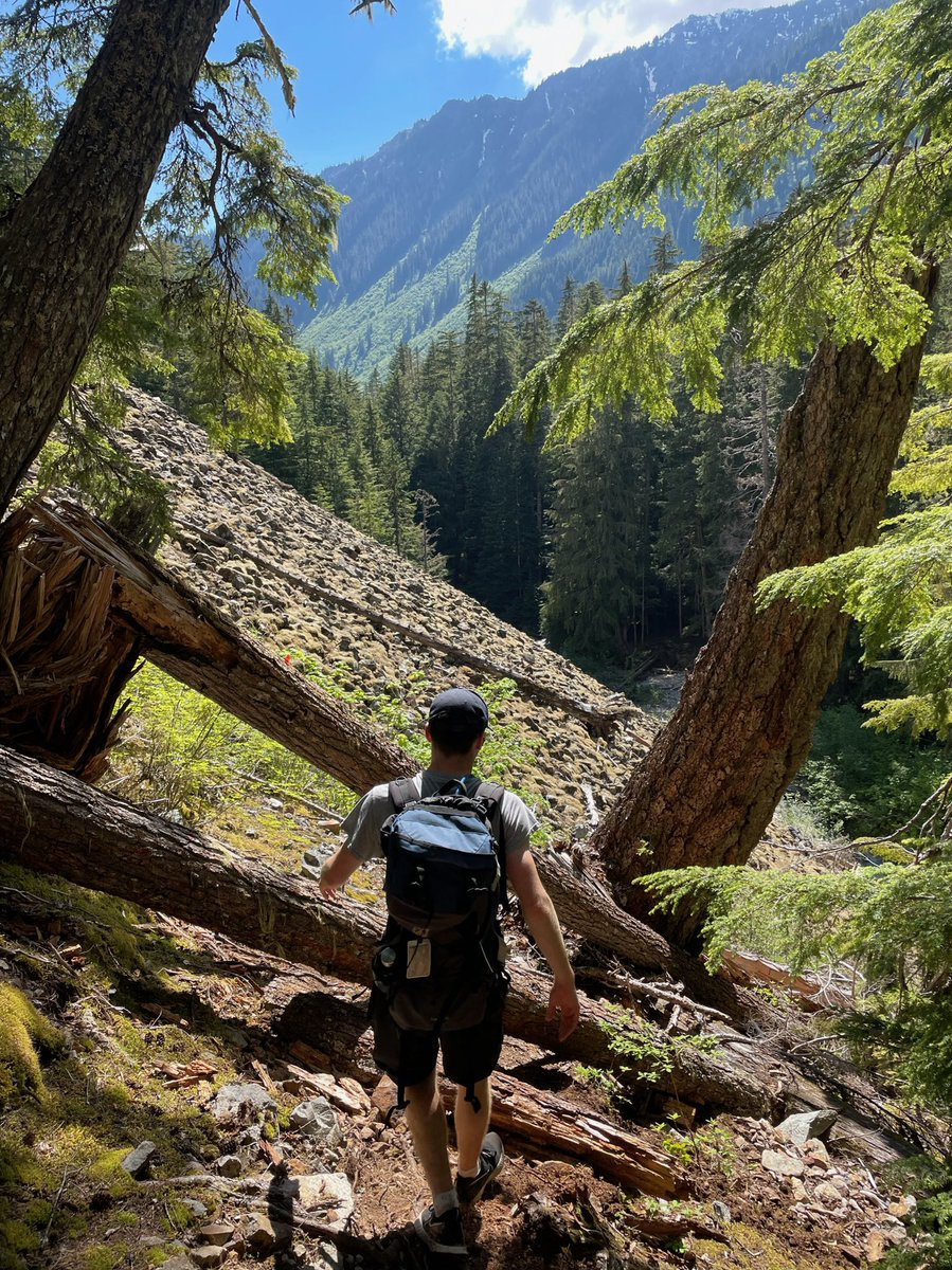 James Taylor tweet media