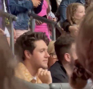 GXLDENCREATURES's tweet photo. niall horan is living his best concert life https://t.co/k8f0WfVPXN