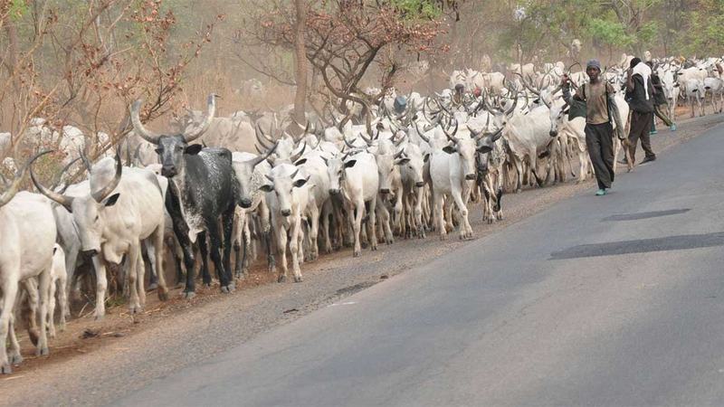 ClimateWed's tweet photo. The Commandant, National Institute for Security Studies, Alhaji Ayodele Adeleke, has blamed the increasing cases of farmers/herders clashes in the country on climate change. https://t.co/IWEs7hVkST via EnviroNews https://t.co/g4gU5eenfi